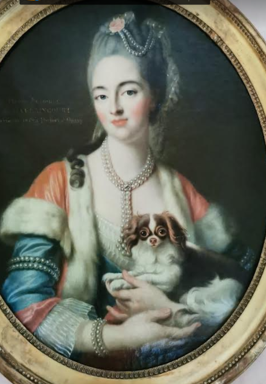 Portrait de la princesse de Croÿ du château de Caulaincourt